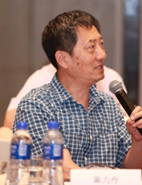 陈力丹
